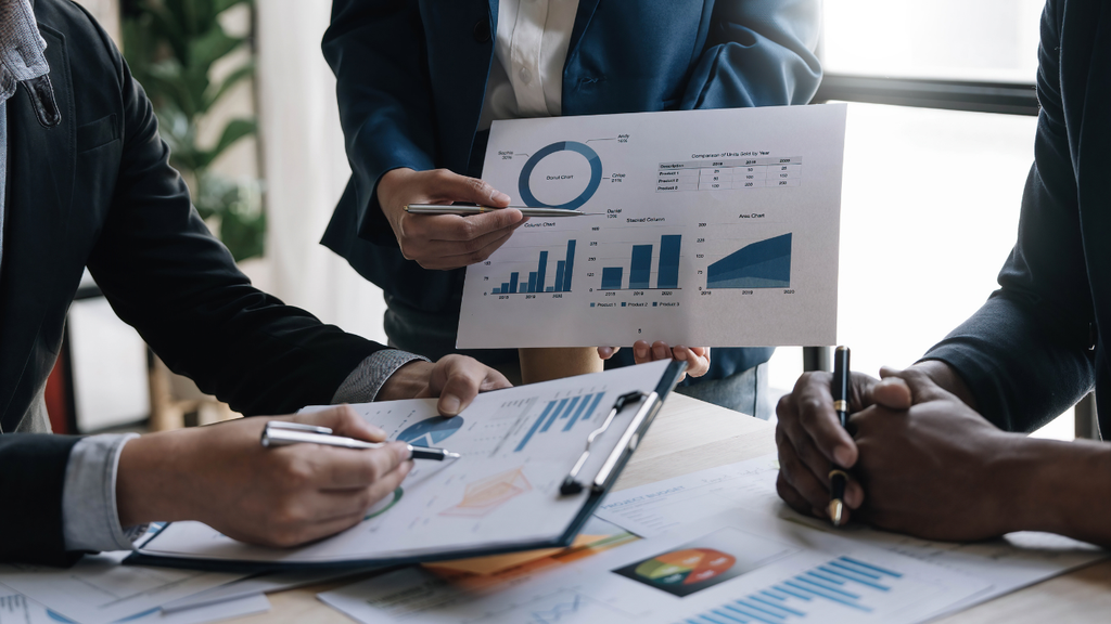 Business Process Management (Mapping and Documentation)