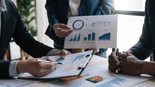 Business Process Management (Mapping and Documentation)
