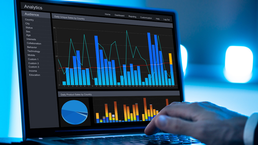 Business Data Analyst